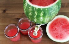Watermelon Punch Bowl